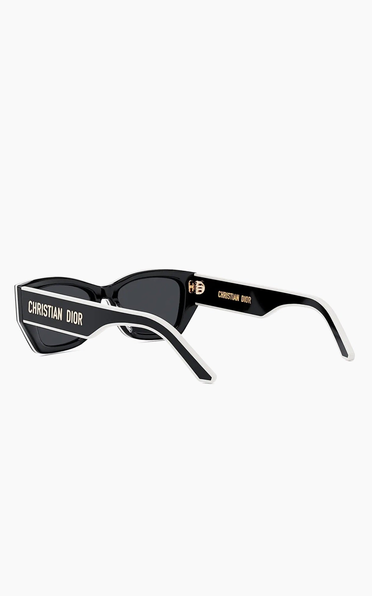 DiorPacific S2U 53MM Square Sunglasse